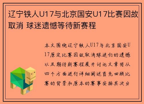 辽宁铁人U17与北京国安U17比赛因故取消 球迷遗憾等待新赛程