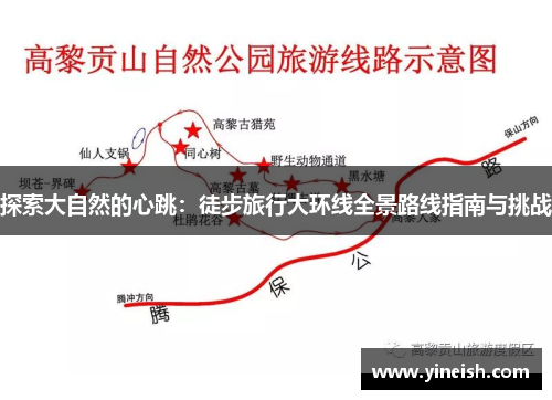 探索大自然的心跳：徒步旅行大环线全景路线指南与挑战