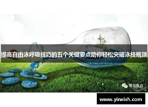 提高自由泳呼吸技巧的五个关键要点助你轻松突破泳技瓶颈
