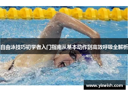 自由泳技巧初学者入门指南从基本动作到高效呼吸全解析