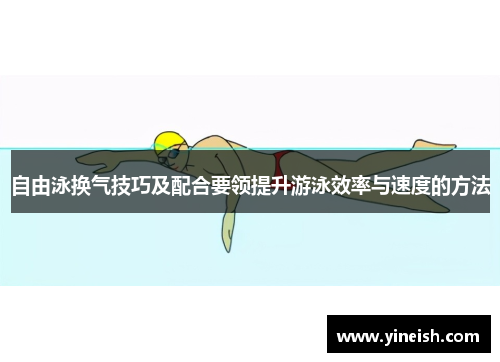 自由泳换气技巧及配合要领提升游泳效率与速度的方法
