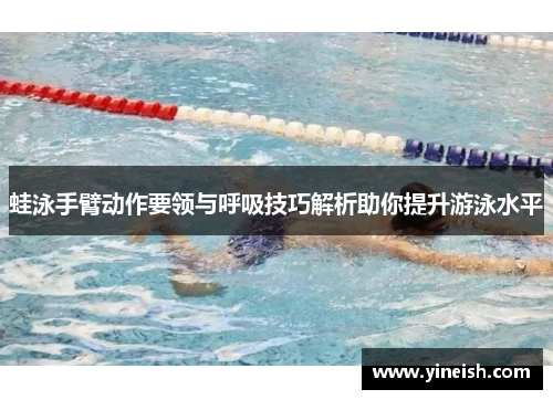 蛙泳手臂动作要领与呼吸技巧解析助你提升游泳水平