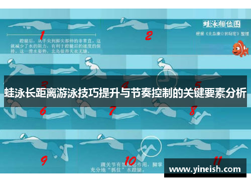 蛙泳长距离游泳技巧提升与节奏控制的关键要素分析