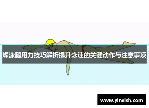 蝶泳腿用力技巧解析提升泳速的关键动作与注意事项