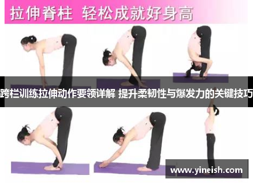 跨栏训练拉伸动作要领详解 提升柔韧性与爆发力的关键技巧