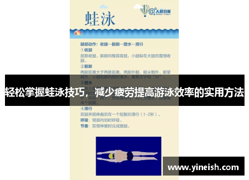 轻松掌握蛙泳技巧，减少疲劳提高游泳效率的实用方法