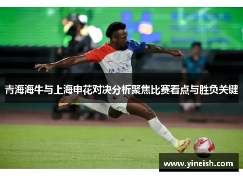 青海海牛与上海申花对决分析聚焦比赛看点与胜负关键