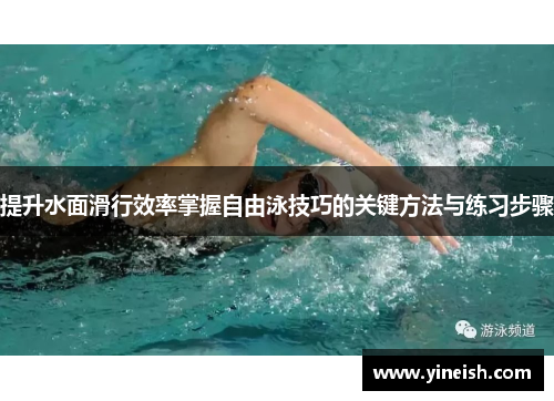 提升水面滑行效率掌握自由泳技巧的关键方法与练习步骤