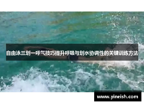 自由泳三划一呼气技巧提升呼吸与划水协调性的关键训练方法